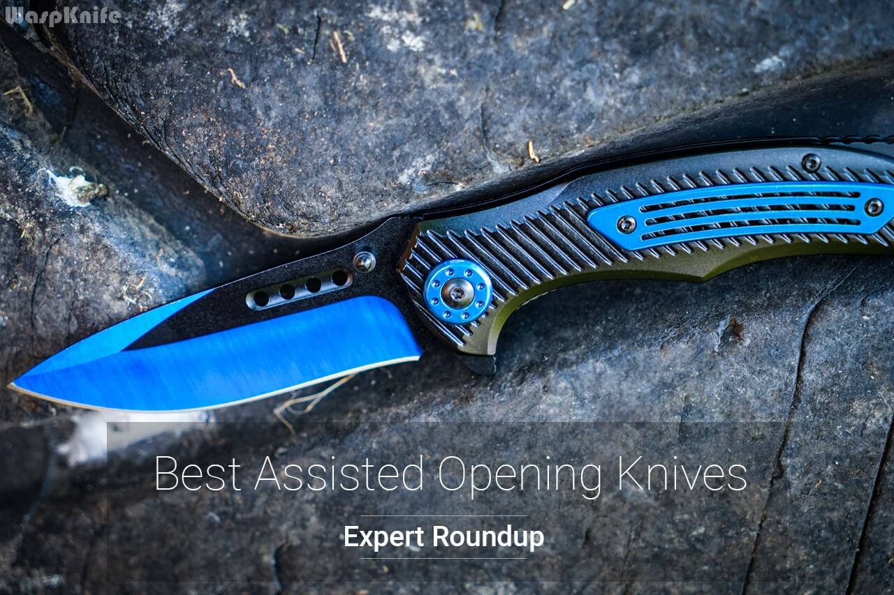 11 Best Assisted Opening Knives Reviewed (December 2023)